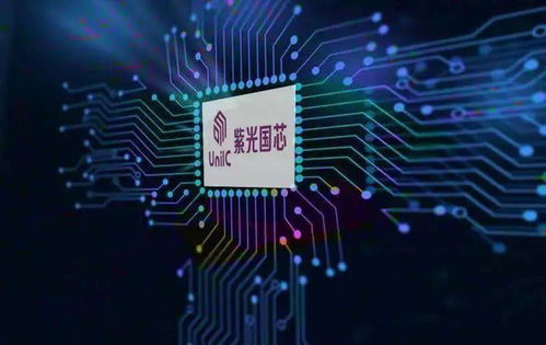 河北資本活力迸發 年內9只個股翻番，集成電路芯片產業領跑